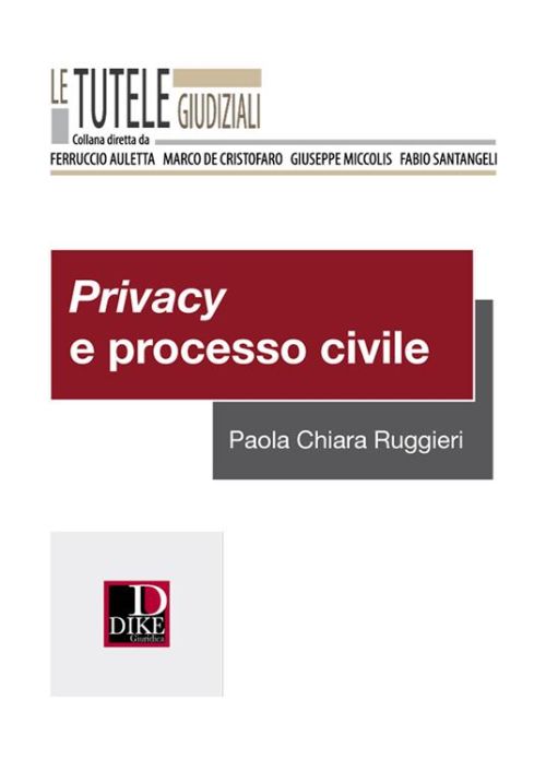 Privacy e processo civile