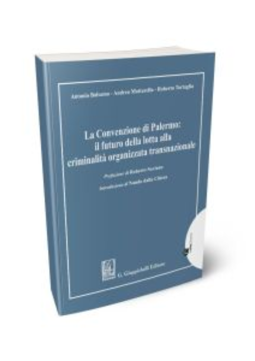 La Convenzione di Palermo: il futuro della lotta alla criminalità organizzata transnazionale