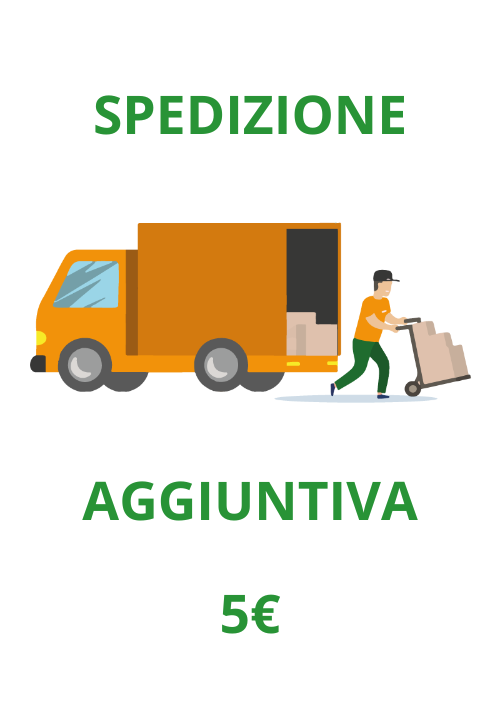Spedizione Aggiuntiva