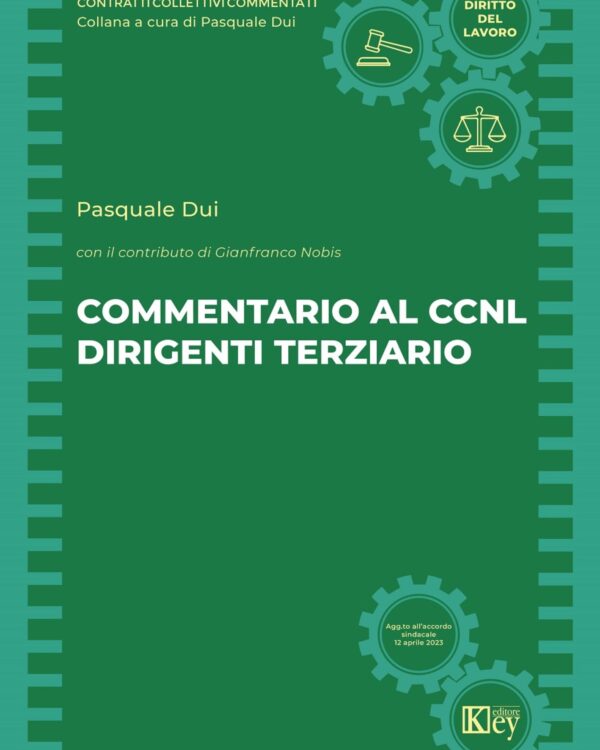 Commentario al CCNL dirigenti terziario E-BOOK