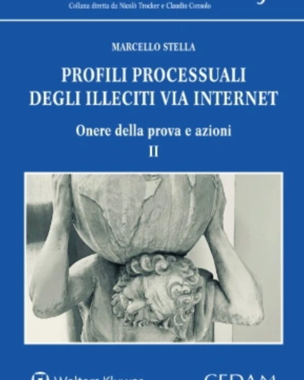 Profili processuali degli illeciti via internet. II. Onere della prova e azioni
