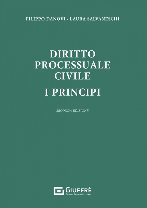 Diritto processuale civile. I principi