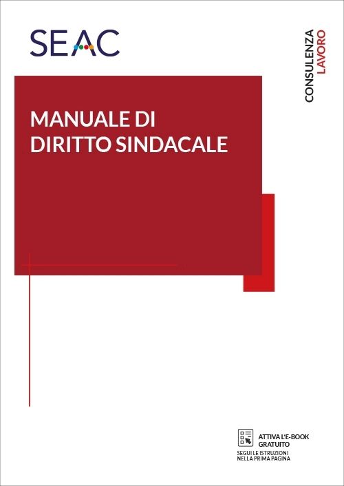 Manuale di diritto sindacale