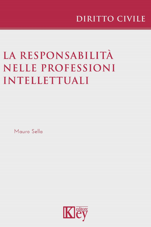 La responsabilità nelle professioni intellettuali EBOOK
