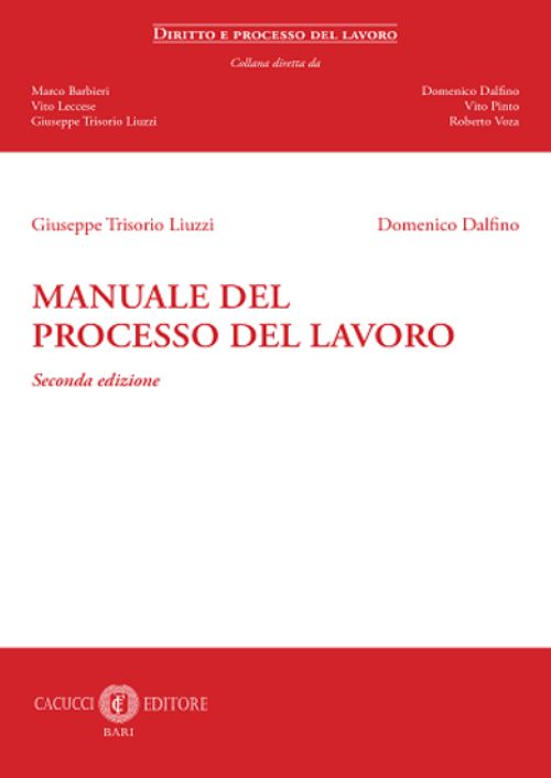 Manuale del processo del lavoro