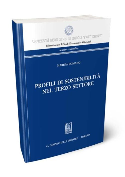 Profili di sostenibilità nel terzo settore