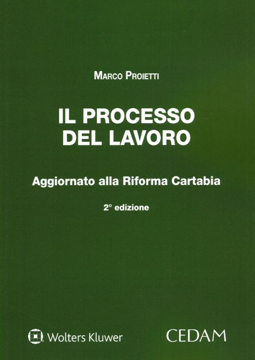 Il processo del lavoro