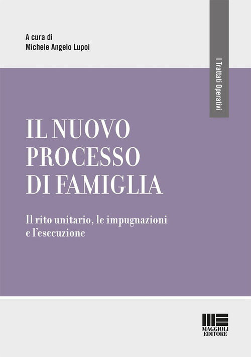 Il nuovo processo di famiglia. Il rito unitario, le impugnazioni e l’esecuzione