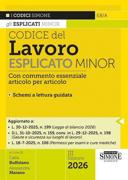 Codice del Lavoro Esplicato Minor – E8/A